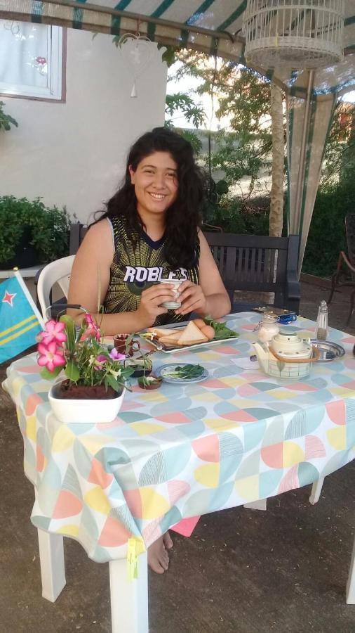 Aruba Backpackers Apartman Oranjestad Kültér fotó