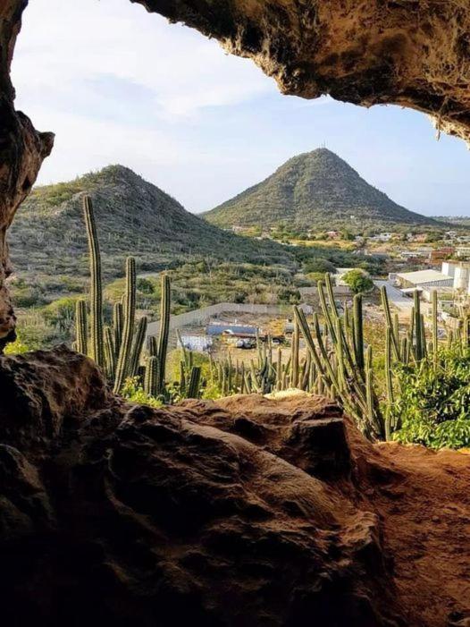 Aruba Backpackers Apartman Oranjestad Kültér fotó