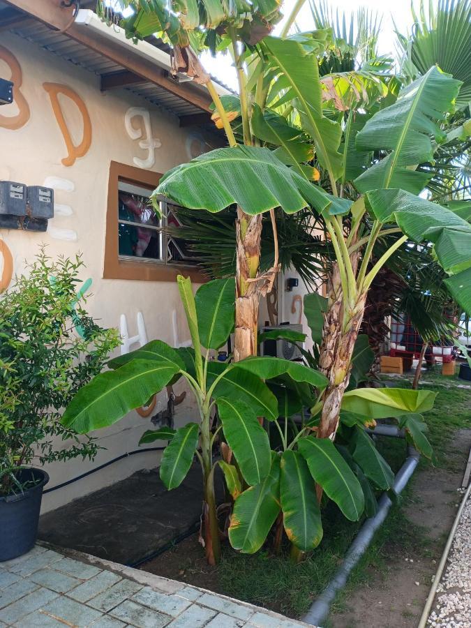 Aruba Backpackers Apartman Oranjestad Kültér fotó