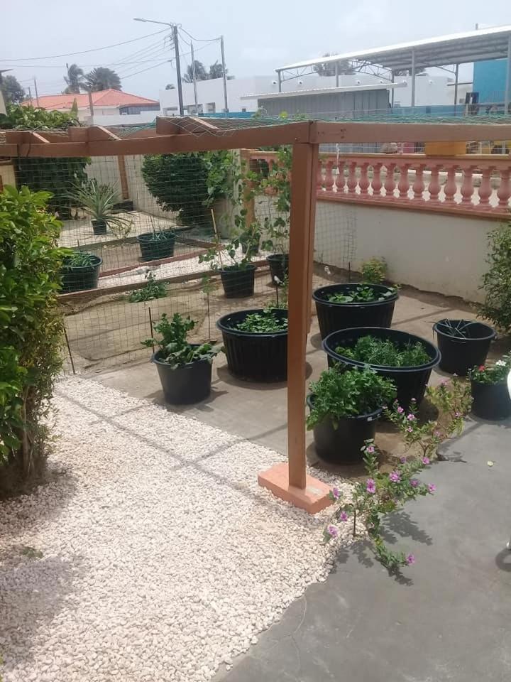 Aruba Backpackers Apartman Oranjestad Kültér fotó
