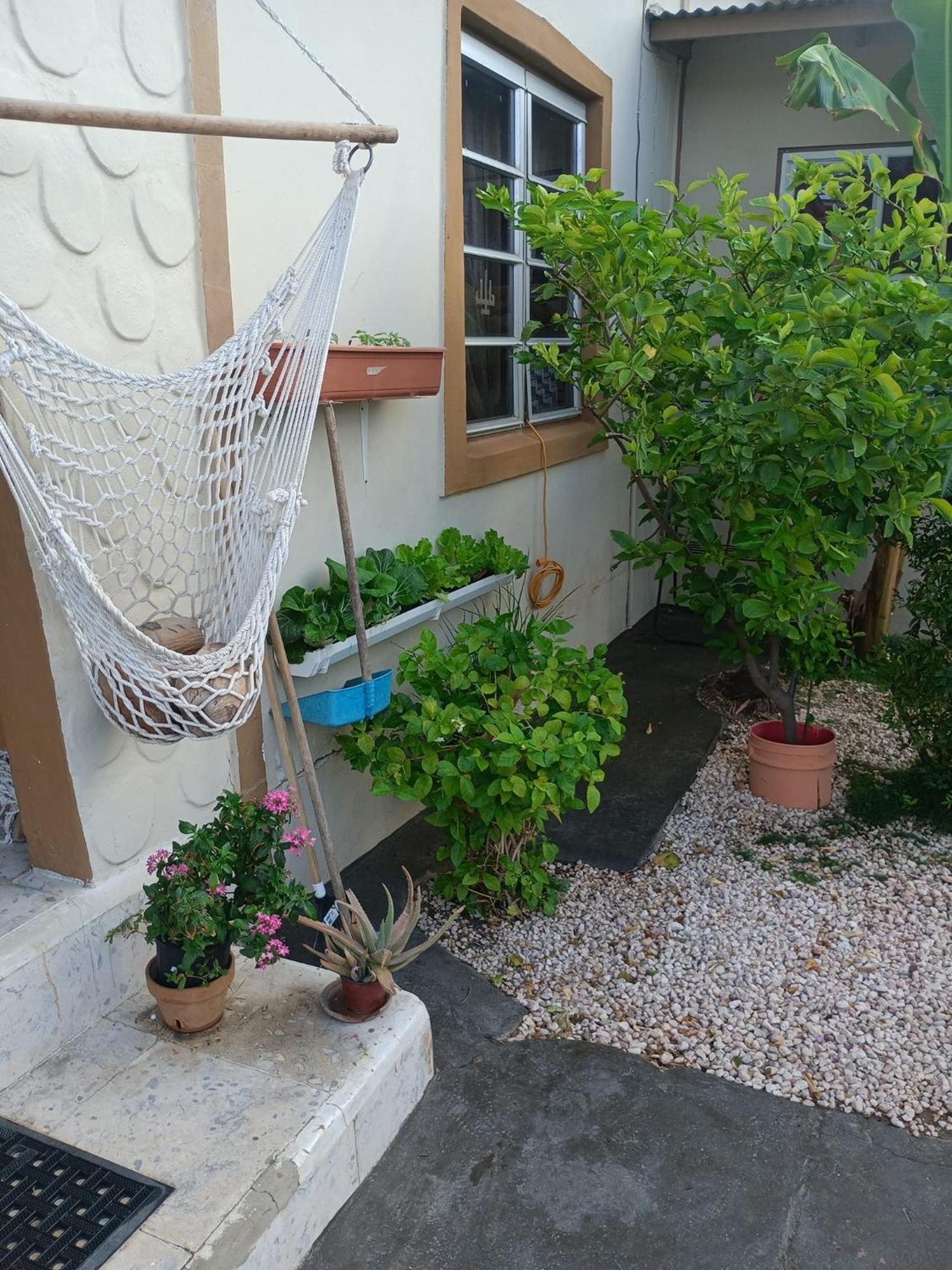 Aruba Backpackers Apartman Oranjestad Kültér fotó
